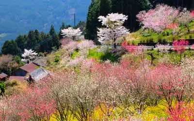 Die besten Retreats in Frühling 2026