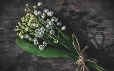 Die besten Retreats in Pfingsten 2026